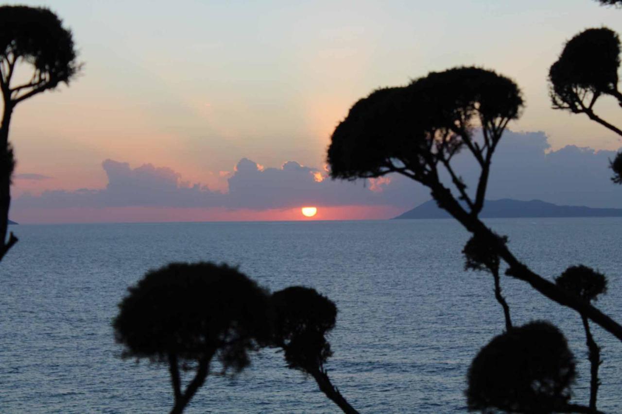 Logas Beach Studios Peroulades  Dış mekan fotoğraf